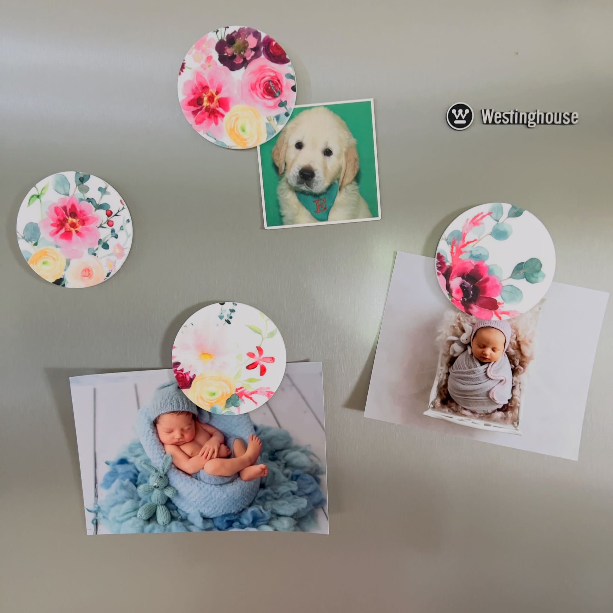 Fridge Magnets - UV Printed Acrylic - Set of 4